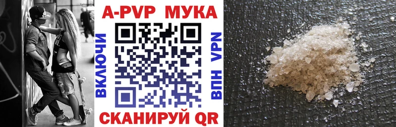 Alfa_PVP СК Мариинский Посад