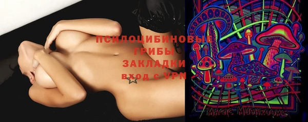 дурь Богородицк