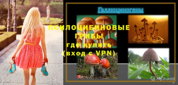 дурь Богородицк